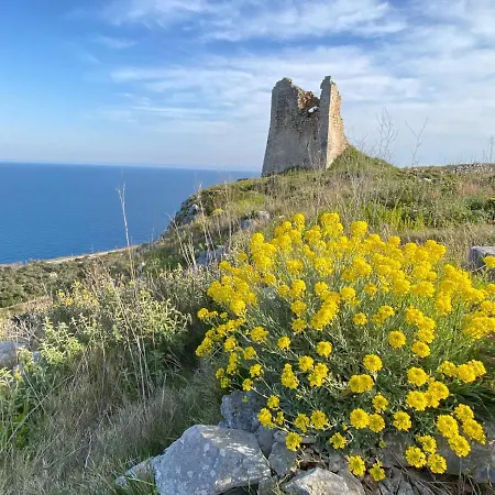 Villa Dolce In Puglia