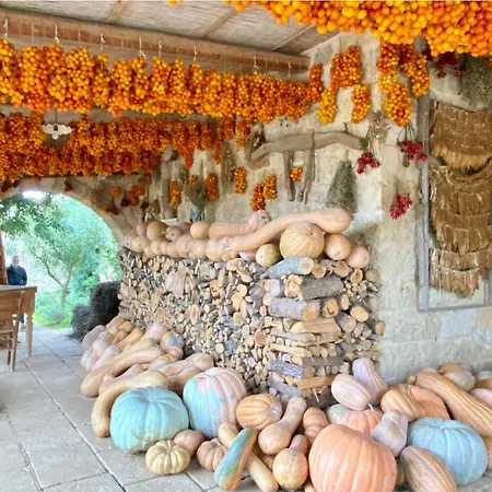Dolce In Puglia * San Vito dei Normanni